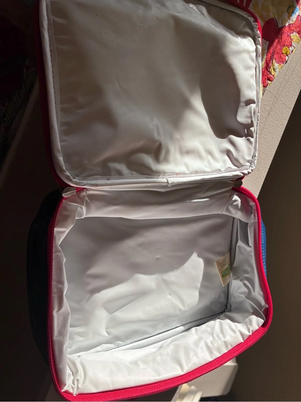 Y2K sesame street zip up lunch box